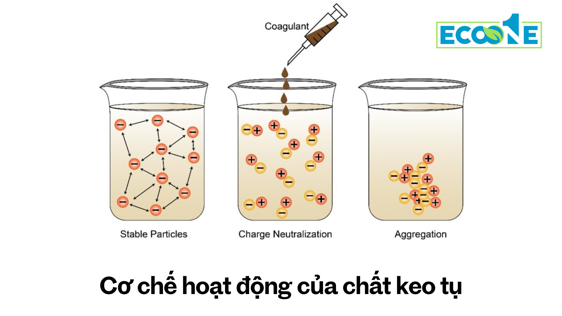 Cơ chế hoạt động của chất keo tụ